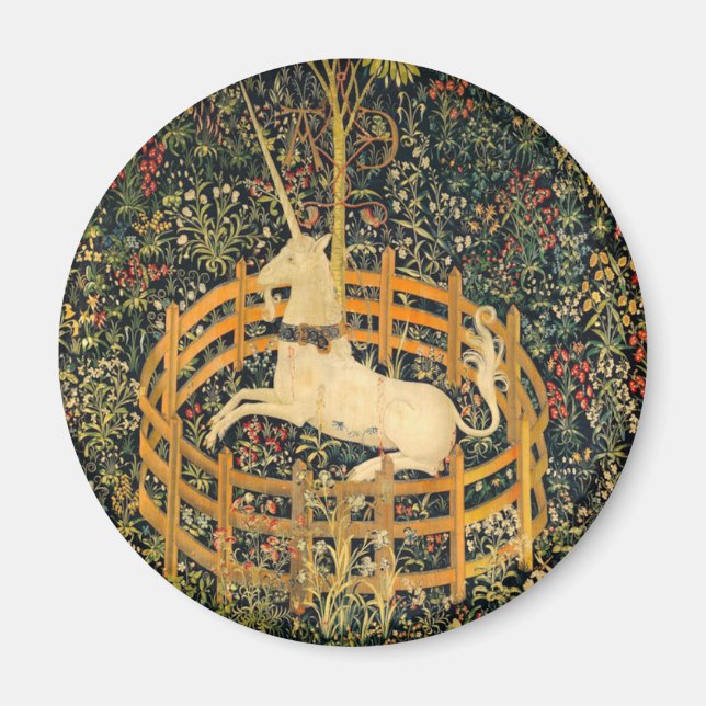 The Unicorn in Captivity Magnet (Front)