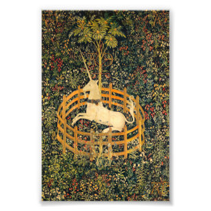 The Unicorn in Captivity Photo Print