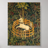 The Unicorn in Captivity