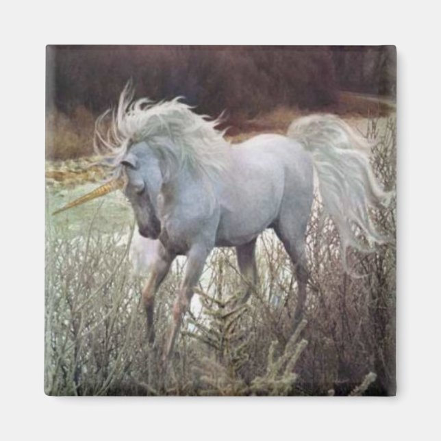 The Unicorn Magnet (Front)