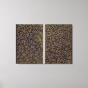 The Universe Atlas Classic Covers Canvas Print