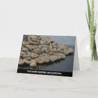 The Unseen Journey: Raw Coffee Beans