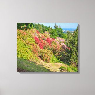 the valley of rhodondendros on canvas print