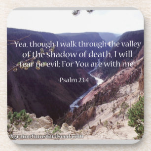 The valley of the shadow of death coaster