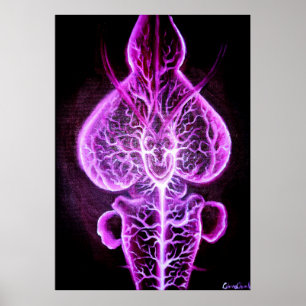 The vascularisation of the nervous system in roden poster