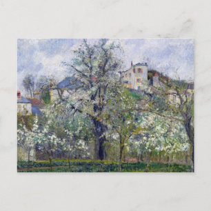 The Vegetable Garden with Trees in Blossom Postcard