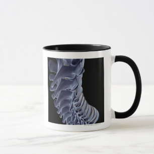 The Vertebral Column Mug