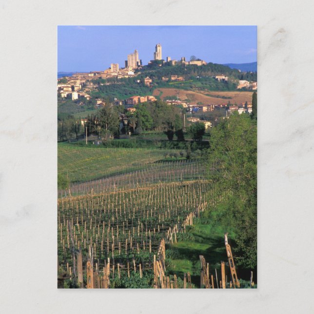 The village of San Gimignano sits in the rolling Postcard (Front)