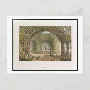 The Vinery, from 'Fragments on the Theory and Prac Postcard