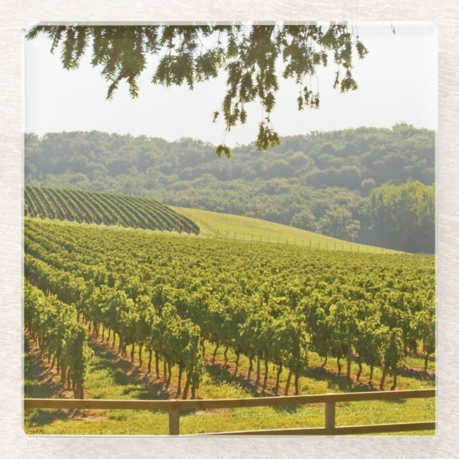The vineyard and a valley with a forest glass coaster (Front)