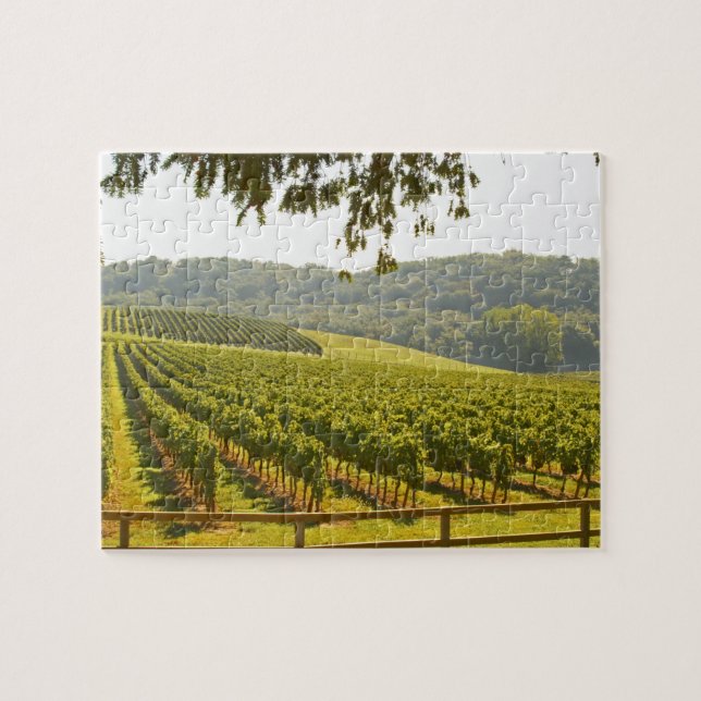 The vineyard and a valley with a forest - jigsaw puzzle (Horizontal)