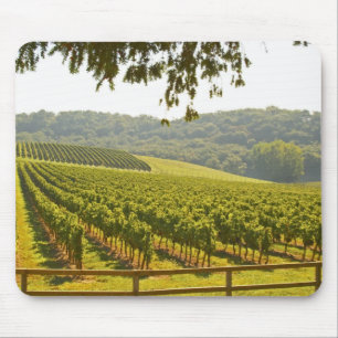 The vineyard and a valley with a forest - mouse pad