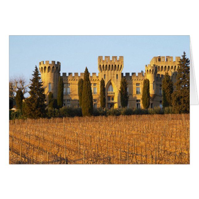 The vineyard with syrah vines and the chateau (Front Horizontal)