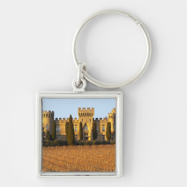 The vineyard with syrah vines and the chateau keychain (Front)