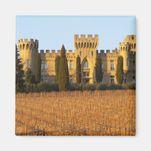 The vineyard with syrah vines and the chateau magnet