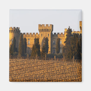 The vineyard with syrah vines and the chateau magnet