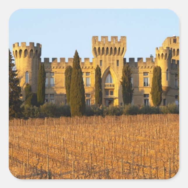 The vineyard with syrah vines and the chateau square sticker (Front)