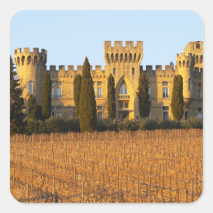 The vineyard with syrah vines and the chateau square sticker