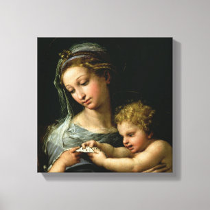 The Virgin of the Rose, c.1518 Canvas Print