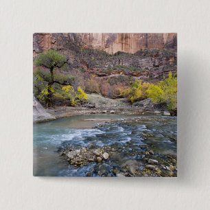 The Virgin River in autumn in Zion National Park 2 Inch Square Button