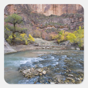 The Virgin River in autumn in Zion National Park Square Sticker