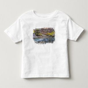 The Virgin River in autumn in Zion National Park Toddler T-shirt