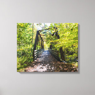 The Virginia creeper trail Canvas Print