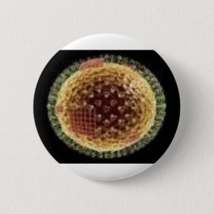 THE VIRUS 2009 2 INCH ROUND BUTTON