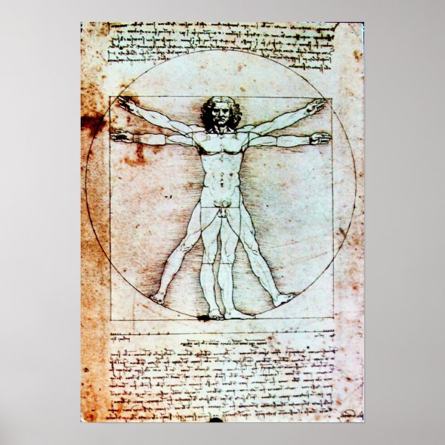 THE VITRUVIAN MAN POSTER (Front)