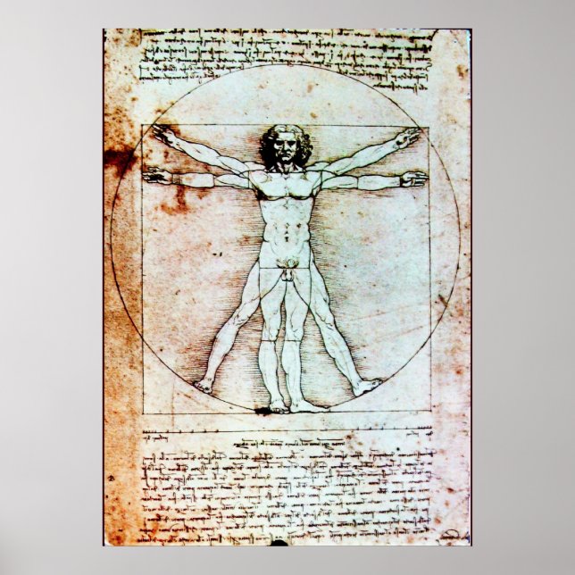 THE VITRUVIAN MAN POSTER (Front)