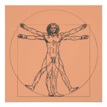The Vitruvian Man Poster