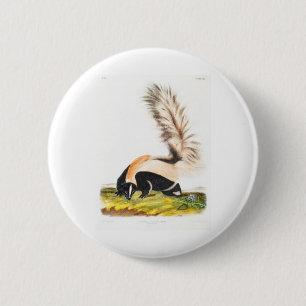 the viviparous quadrupeds by John James Audubon 2 Inch Round Button