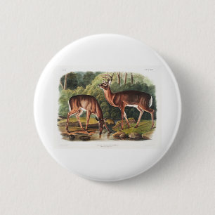 the viviparous quadrupeds by John James Audubon 2 Inch Round Button