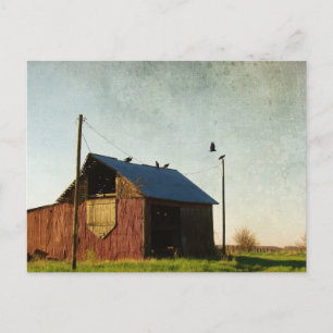 The Vultures and the Barn Postcard