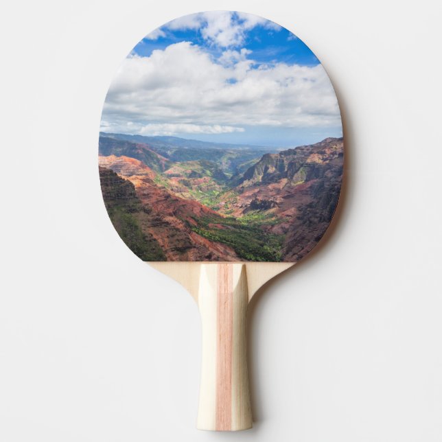 The Waimea Canyon Ping Pong Paddle (Front)