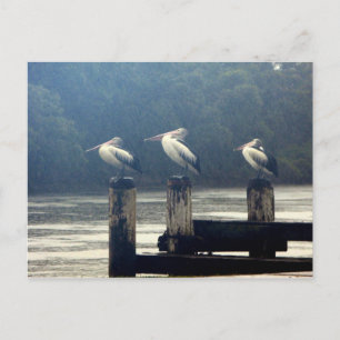 the wait postcard