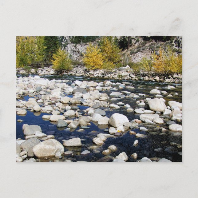 The Walker River in Autumn Postcard (Front)