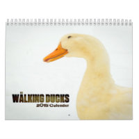 The Walking Ducks 2015 Calender
