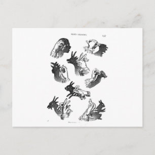 The Wall Hand Shadows Postcard