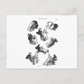 The Wall Hand Shadows Postcard