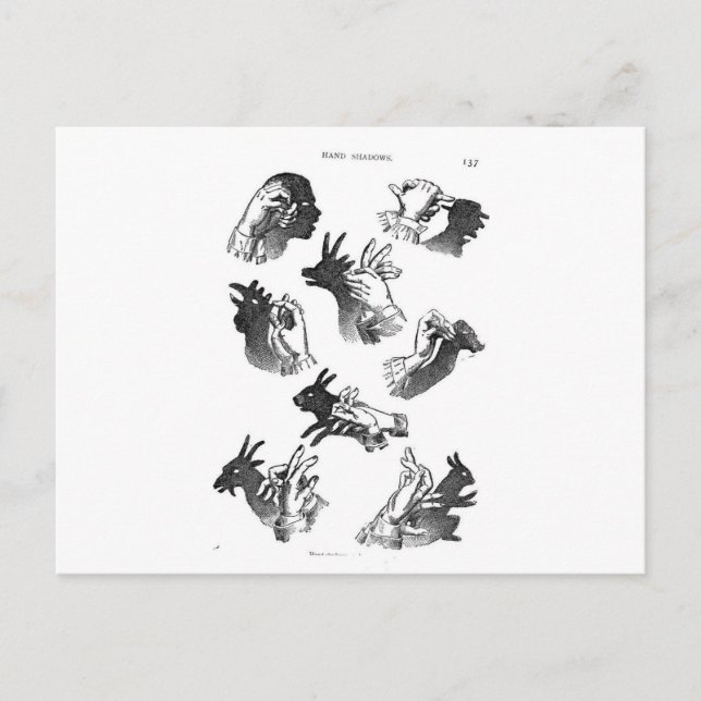 The Wall Hand Shadows Postcard (Front)