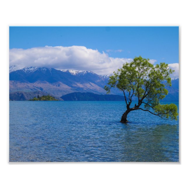 The Wanaka Tree, Lake Wanaka, NZ - Photo Print (Front)