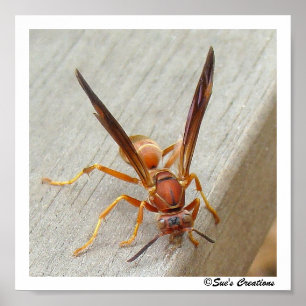 The Wasp! Poster