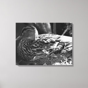 The Watcher Canvas Print
