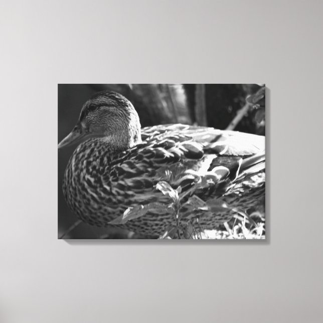 The Watcher Canvas Print (Front)