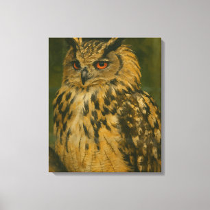 The Watcher – Eurasian Eagle-Owl in Woodland Light Canvas Print