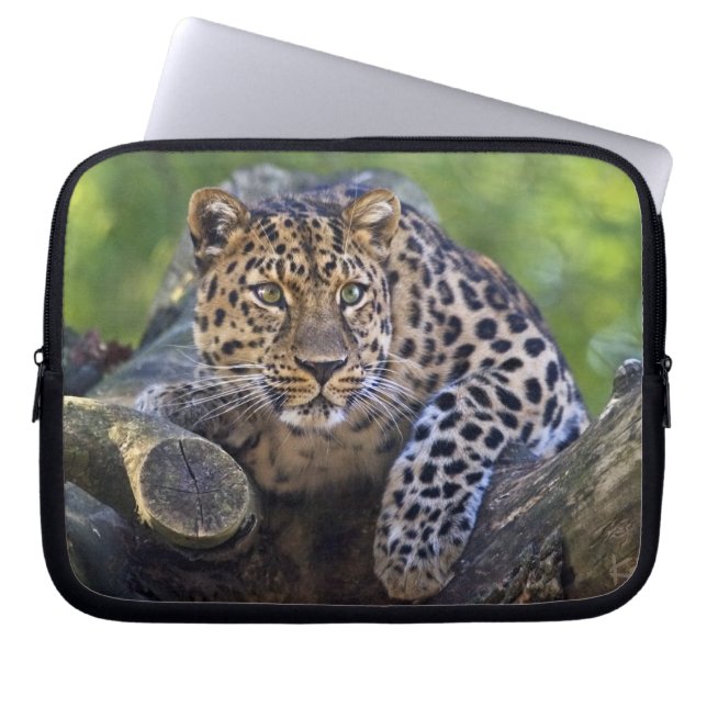 The Watcher Laptop Sleeve (Front)