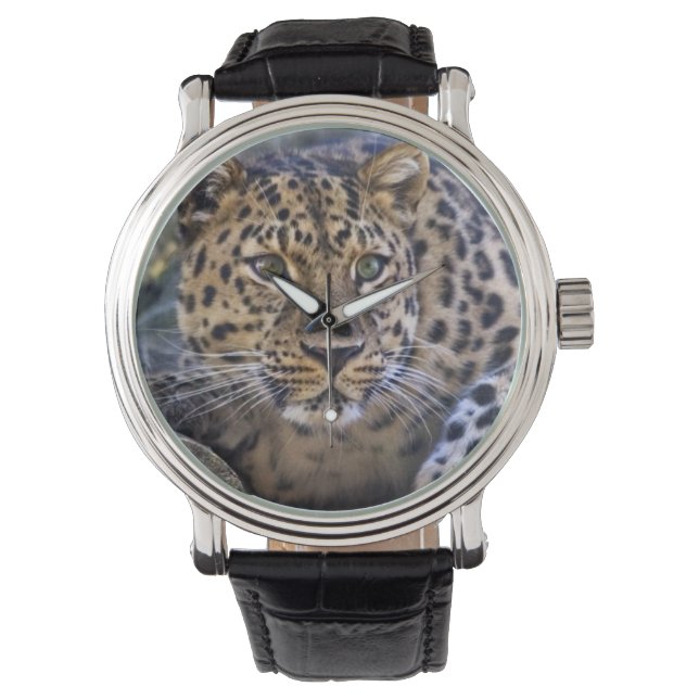 The Watcher Watch (Front)