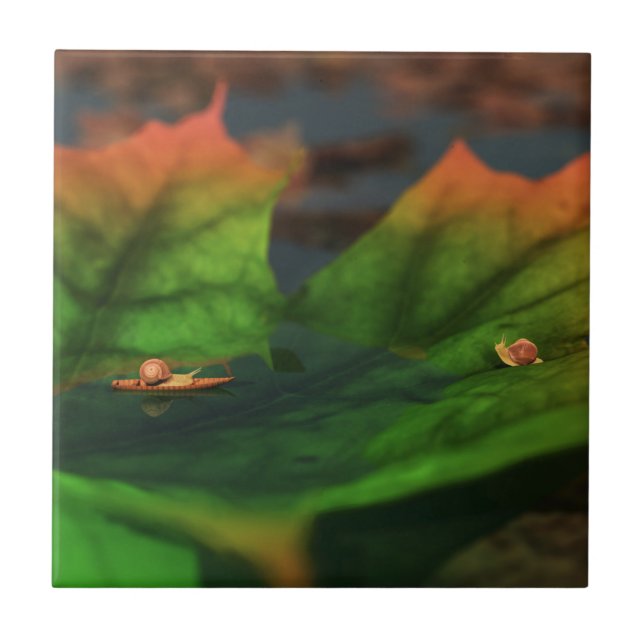 The Water Is Wide Decorative Tile / Trivet (Front)