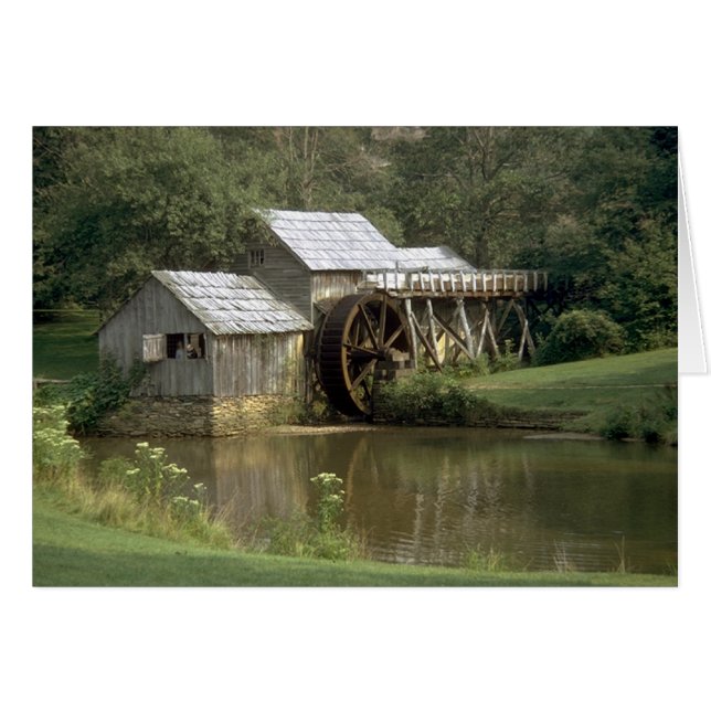The Water Mill (Front Horizontal)